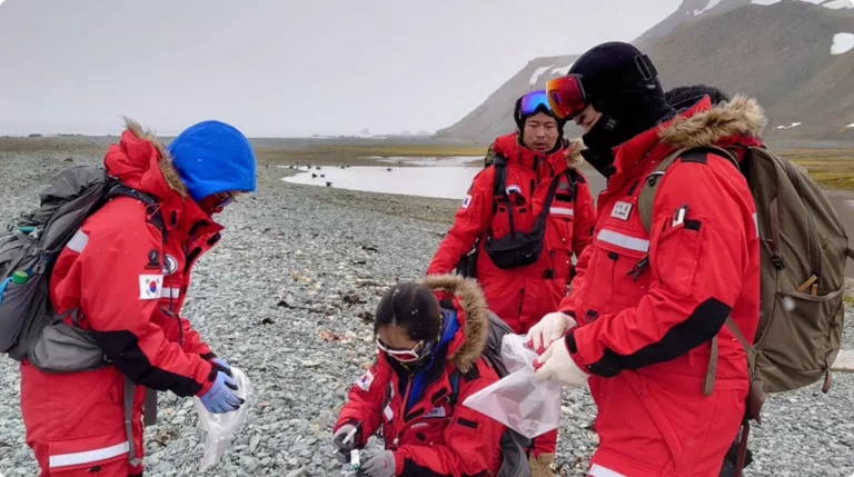 Puerto de Ushuaia y servicios de apoyo para programas antárticos internacionales